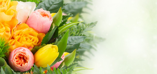 Similar image 13088862