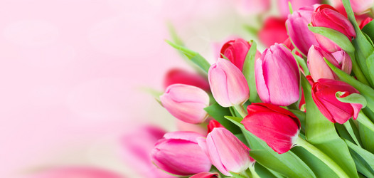 Similar image 13088863