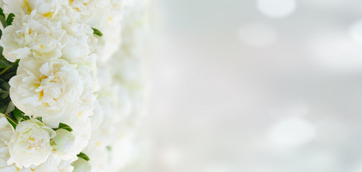 Similar image 13088886