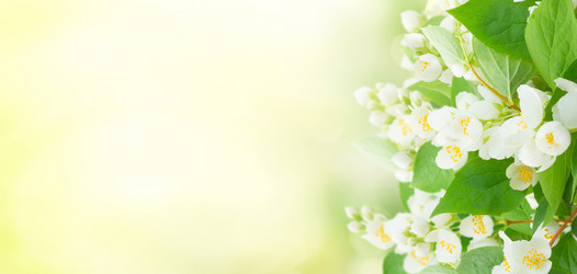 Similar image 13088887