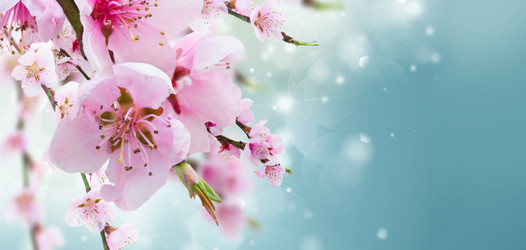 Similar image 13088889