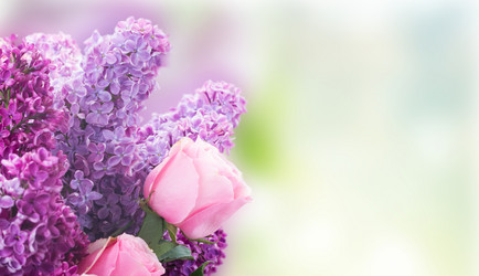 Similar image 13088900