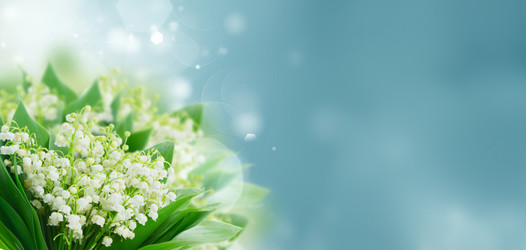 Similar image 13088901