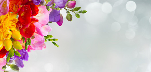 Similar image 13088902