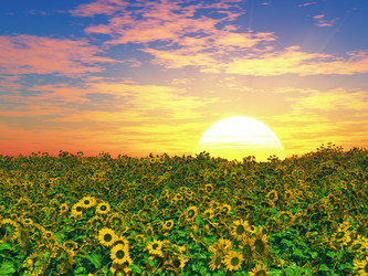 Similar image 13066269