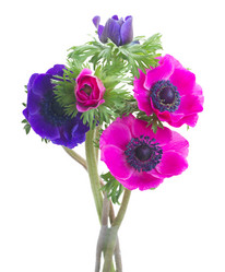 Similar image 13089083