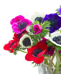 Similar image 13089108