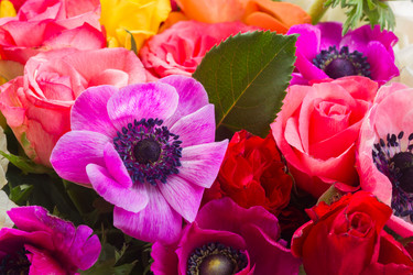 Similar image 13089122