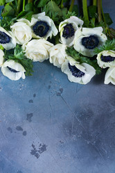 Similar image 13089146