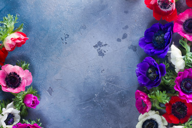 Similar image 13089150