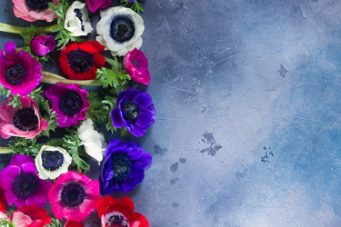 Similar image 13089171