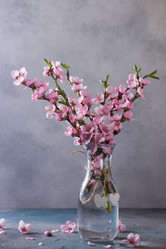 Similar image 13088870