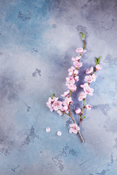 Similar image 13088892