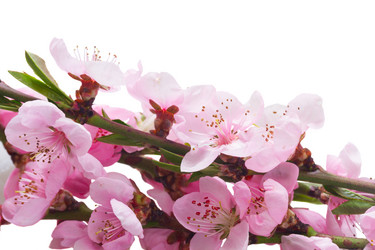 Similar image 13088905