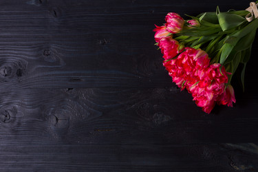 Similar image 13088907