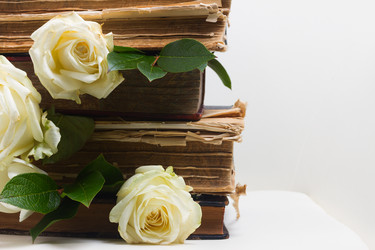 Similar image 13088926