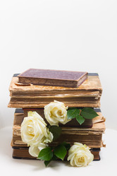 Similar image 13088927