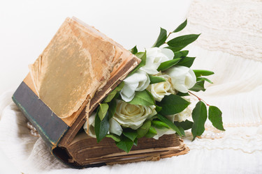 Similar image 13088945