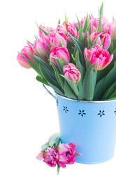 Similar image 13088946