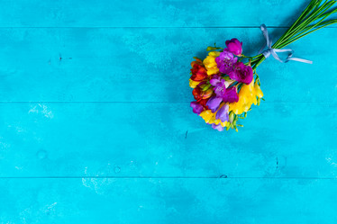 Similar image 13089008