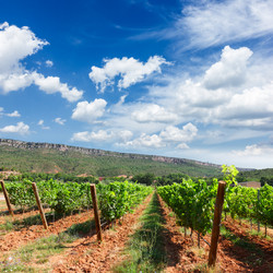 Similar image 13089009