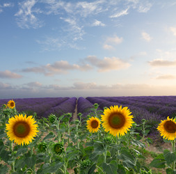 Similar image 13089048