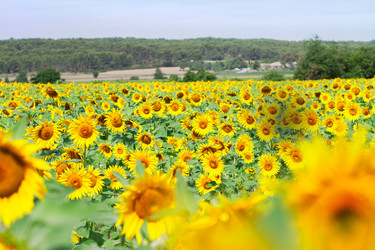 Similar image 13089125