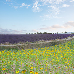 Similar image 13088931