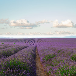 Similar image 13088932