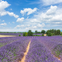 Similar image 13088972