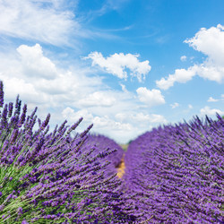 Similar image 13089049