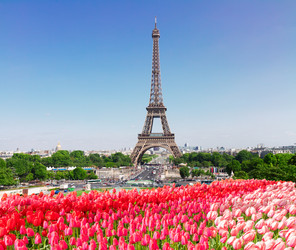 Similar image 13089088