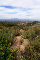 Similar image 13099588