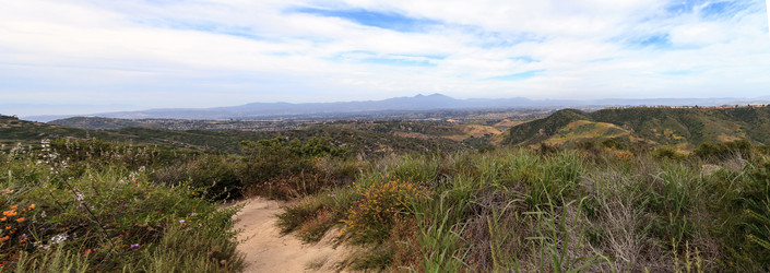 Similar image 13099613