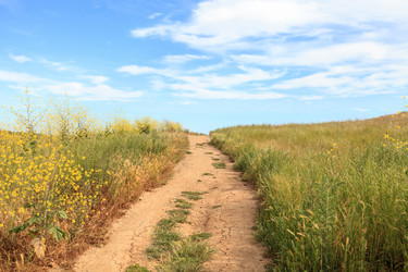 Similar image 13099628