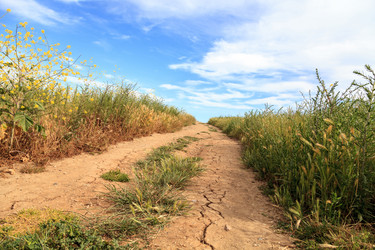 Similar image 13099666