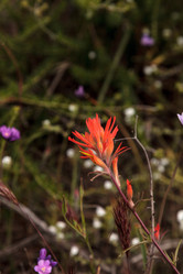 Similar image 13105591