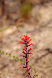 Similar image 13105592