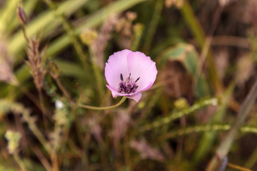 Similar image 13105631