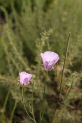 Similar image 13105633