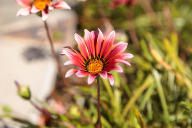 Similar image 13105728