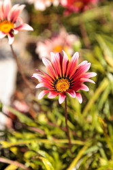 Similar image 13105752