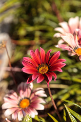 Similar image 13105753