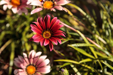 Similar image 13105755