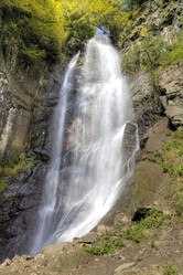 Similar image 13071138