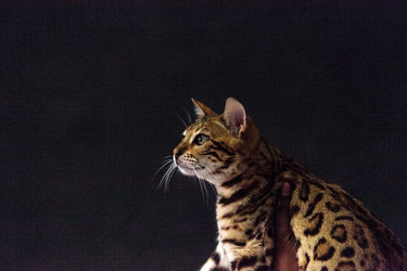 Similar image 13105652