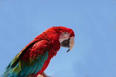 Similar image 13105732