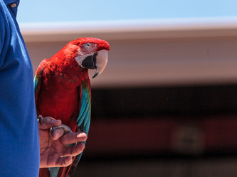 Similar image 13105734