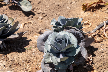 Similar image 13105793