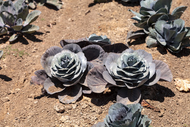 Similar image 13105813